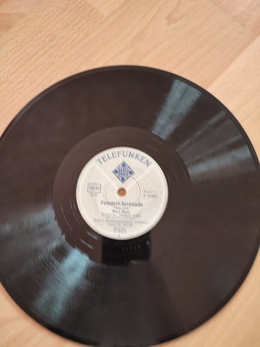 Schellackplatte vintage - schellackplatte,